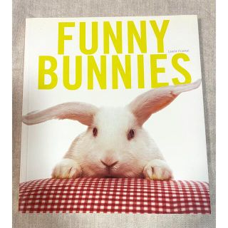 専用出品　FUNNY BUNNIES(洋書)