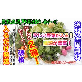 おまかせ冬野菜詰め合わせ約80サイズ2箱入るだけ発送！破格！(野菜)