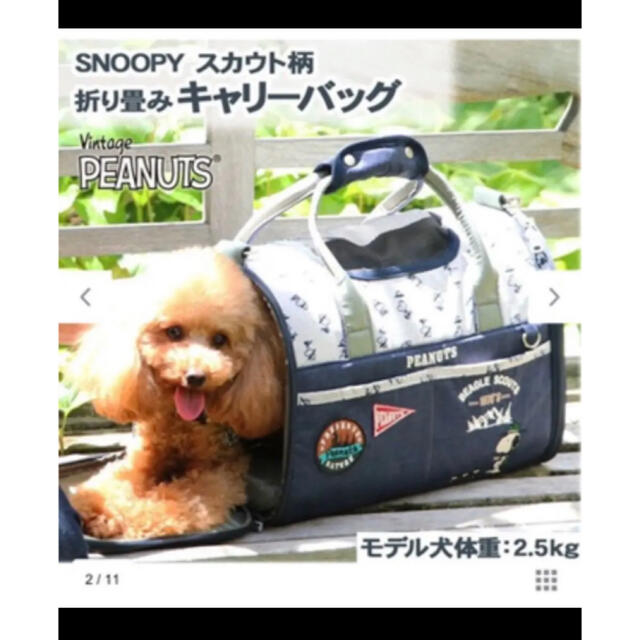 SNOOPY(スヌーピー)のペットパラダイス　ペットキャリーバッグ その他のペット用品(かご/ケージ)の商品写真