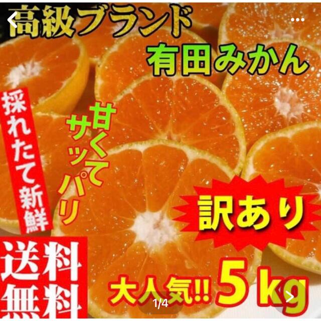 有田みかん　5キロ 食品/飲料/酒の食品(フルーツ)の商品写真