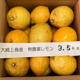 福袋　広島県大崎上島産無農薬レモン3.5kg(フルーツ)