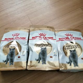 ロイヤルカナン(ROYAL CANIN)のロイヤルカナン　ブリティッシュショートヘアー用　400ｇ×3(猫)