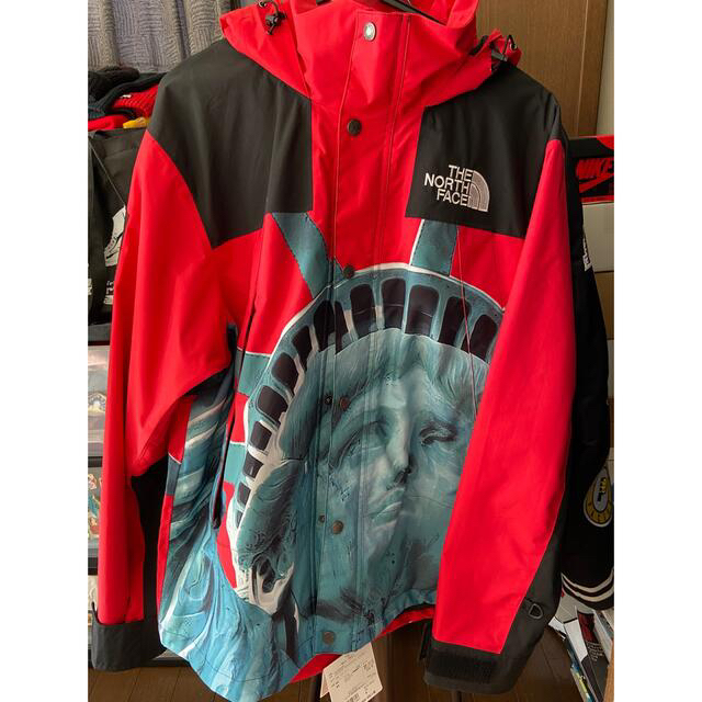 Mサイズ　 Statue of Liberty Mountain Jacket