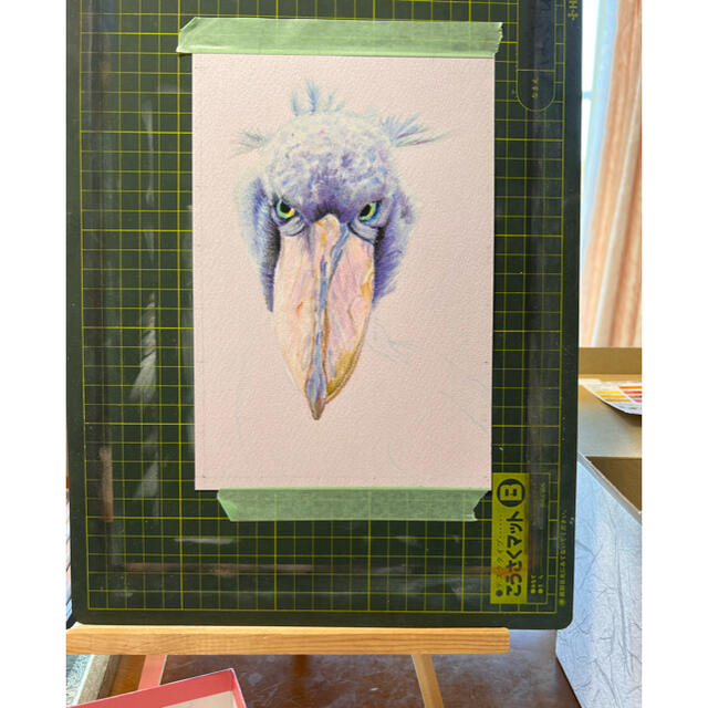 お取り寄せ】 ハシビロコウ 手書き 原画 メイン画材 パステル 色鉛筆