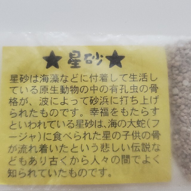 星砂 ☆ 竹富観光センター ☆ 幸福をもたらす ☆ ハンドメイドのアクセサリー(その他)の商品写真