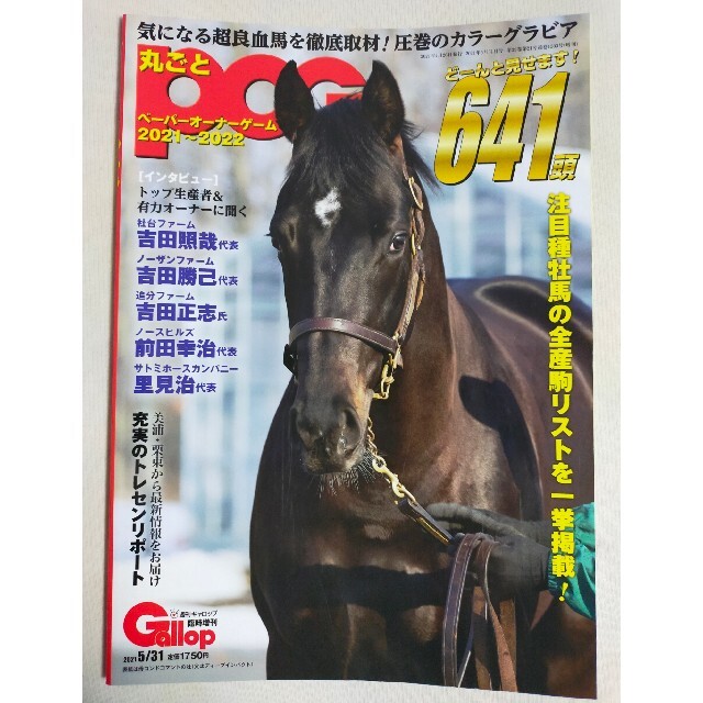 丸ごとＰＯＧ 2021〜2022 週刊Gallop 臨時増刊 エンタメ/ホビーの本(趣味/スポーツ/実用)の商品写真