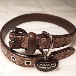 コーチ(COACH) 犬の通販 96点 | コーチのその他を買うならラクマ