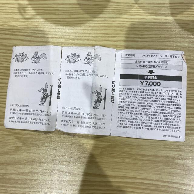 2022かぐら・苗場リフト引換券 チケットの施設利用券(スキー場)の商品写真