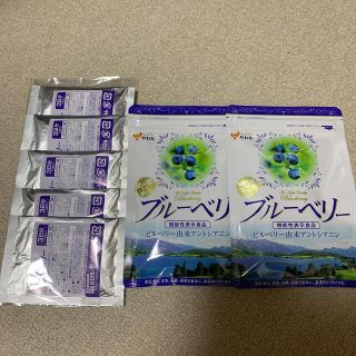 ディーエイチシー(DHC)のやわた　北の国から届いたブルーベリー　2袋+15日分(その他)