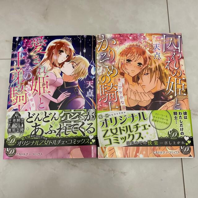 天点　漫画セット エンタメ/ホビーの漫画(女性漫画)の商品写真