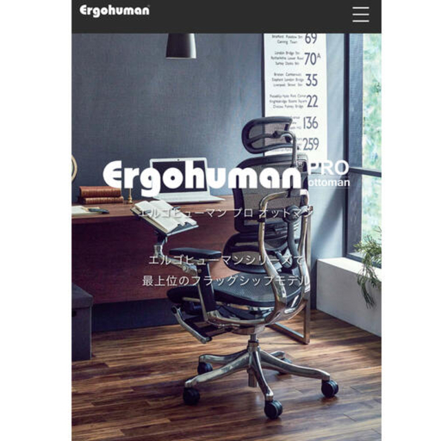 ミルククラウン様専用　Ergohuman PRO エルゴヒューマンプロオットマン インテリア/住まい/日用品のオフィス家具(オフィスチェア)の商品写真