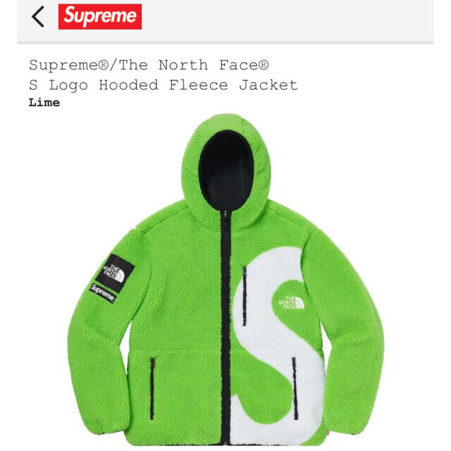 Supreme®/The North Face® S Logo Fleece