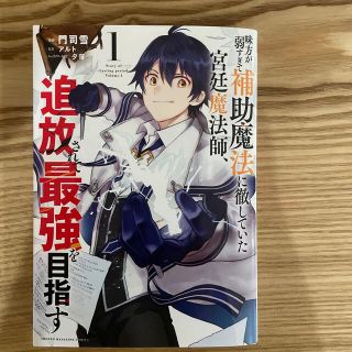 ナト様専用　「味方が弱すぎて補助魔法に徹していた宮廷魔法師、追放されて」(青年漫画)