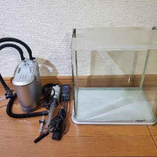 テトラ(Tetra)のテトラ (Tetra) 30cm水槽セット(アクアリウム)