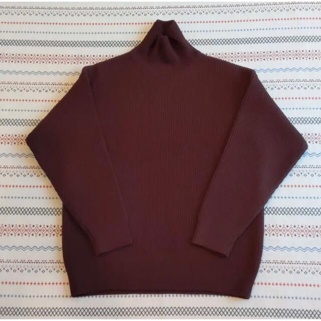 SUPER FINE WOOL RIB KNIT TURTLE NECK P/O