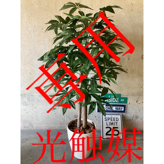 光触媒 人工観葉植物 ウォールグリーン フェイク アレンジ