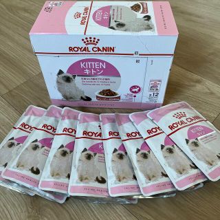 ロイヤルカナン(ROYAL CANIN)の【Hana様専用】ロイヤルカナン　キトン　グレービー　20パウチ(ペットフード)