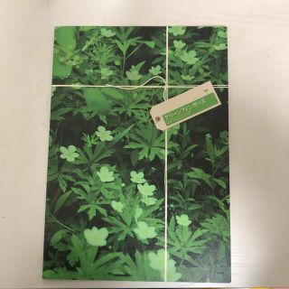 嵐(グリーン・カーキ/緑色系)の通販 100点以上 | 嵐を買うならラクマ