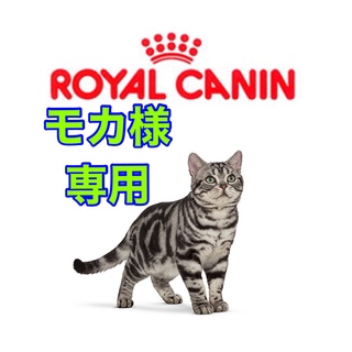 ロイヤルカナン(ROYAL CANIN)のロイヤルカナン 減量 85g11個 ウエットフード(猫)