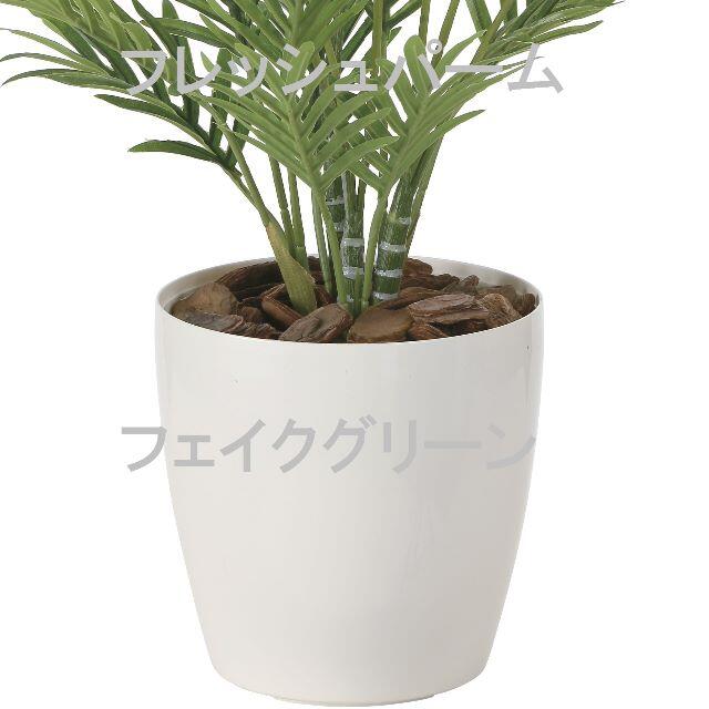 送料無料ポイント倍《アートグリーン》《人工観葉植物》光触媒 光の