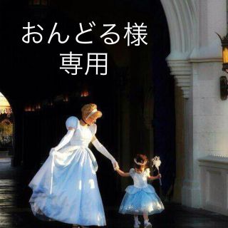 おんどる様専用　中国貢硯　すずり　書道セット(書道用品)