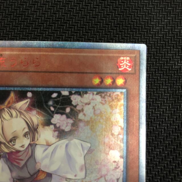 遊戯王 灰流うらら 20thシークレット 3