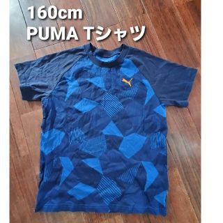 プーマ(PUMA)のPUMA 160cm Tシャツ(Tシャツ/カットソー)