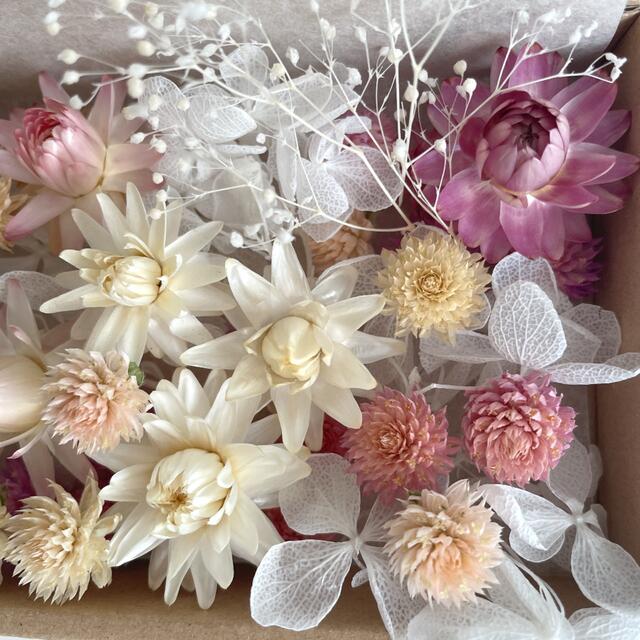 プリザーブド&ドライフラワー花材MIXの通販 by Ruri's syop|ラクマ