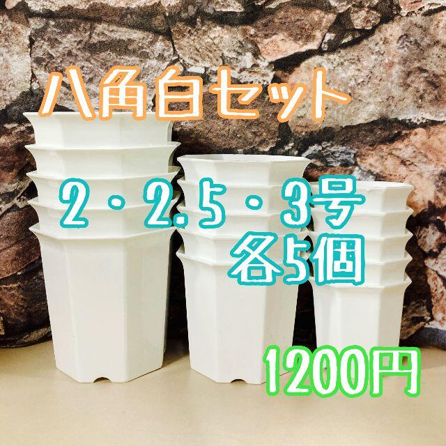 八角鉢 ◎15個◎  白 セット 2・2.5・3号  各5 個 鉢  ハンドメイドのフラワー/ガーデン(プランター)の商品写真