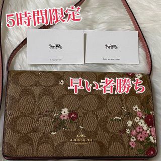 コーチ(COACH) フローラル クラッチ(レディース)の通販 3点 | コーチの