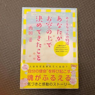 あなたがお空の上で決めてきたこと みことちゃんの物語(その他)