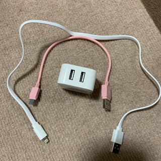 USB変換アダプター2口とライトニングケーブル(その他)