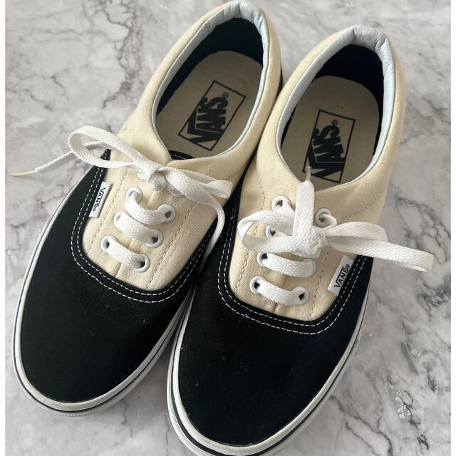 VANS(ヴァンズ)のvans スニーカー レディースの靴/シューズ(スニーカー)の商品写真