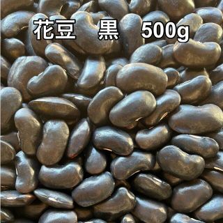 花豆　黒　500g(米/穀物)