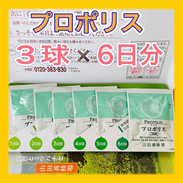 山田養蜂場(ヤマダヨウホウジョウ)の山田養蜂場 プロポリス粒★6日分 コスメ/美容のキット/セット(サンプル/トライアルキット)の商品写真