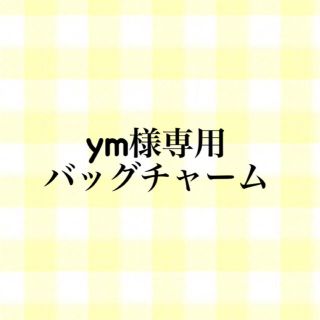 ym様専用　ブレスレット兼バッグチャーム(バッグチャーム)