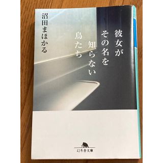 彼女がその名を知らない鳥たち、1リットルの涙(その他)