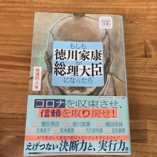 もしも徳川家康が総理大臣になったら ビジネス小説(その他)