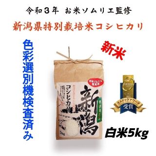 ❇️コメドックアワード金賞❇お米ソムリエ監修！新潟特栽米コシヒカリ10kg⭐白米