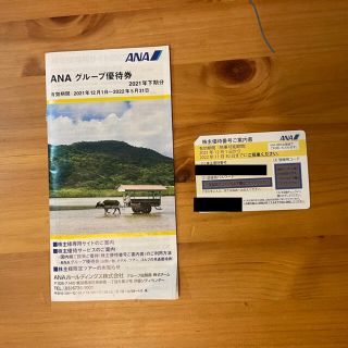 エーエヌエー(ゼンニッポンクウユ)(ANA(全日本空輸))のANA 株主優待券(その他)