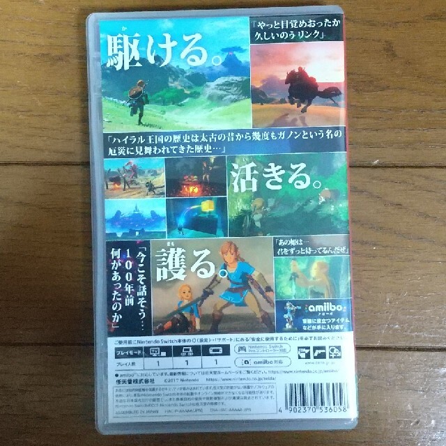 ゼルダの伝説 ブレス オブ ザ ワイルド Switch