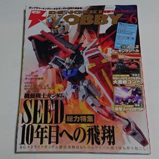 アスキーメディアワークス(アスキー・メディアワークス)の電撃ホビーマガジン2011年6月号 付録付き(アート/エンタメ/ホビー)