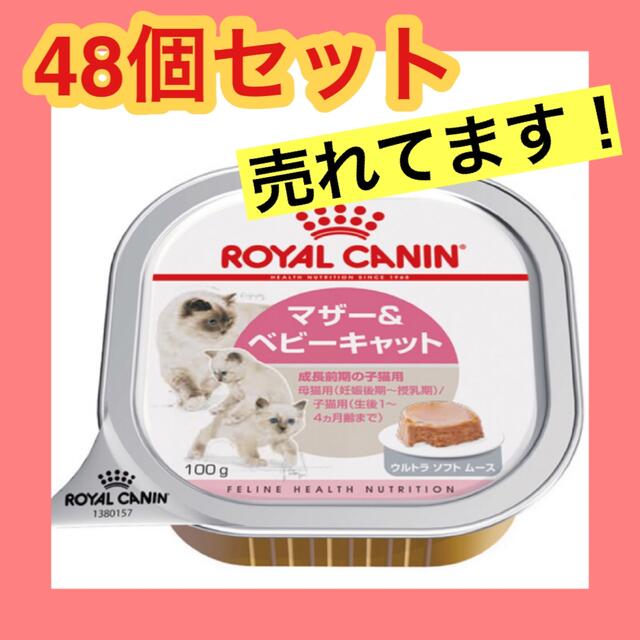 100グラム x 12 ロイヤルカナン FHN-WET マザー ベビーキャット 猫用 100g×12個 【オンラインショップ】