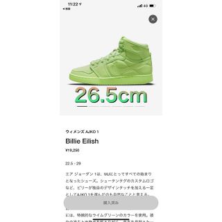 ナイキ(NIKE)のNIKE air Jordan 1 KO SP Billie Eilish　(スニーカー)