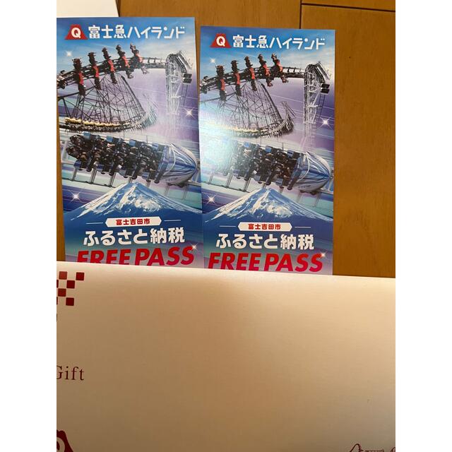 富士急ハイランド　フリーパス　Free Pass 2枚組