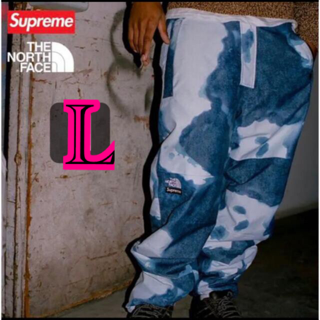 supreme the north face mountain pant