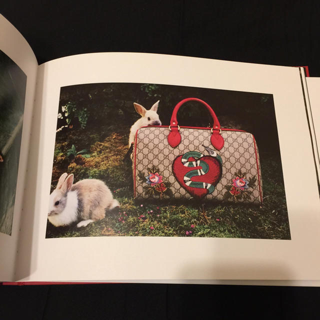 Gucci(グッチ)のGUCCIカタログ インテリア/住まい/日用品のインテリア小物(その他)の商品写真