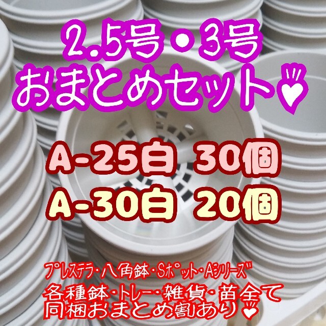 プラ鉢50個おまとめセット♪【2.5号鉢30個・3号鉢20個】プレステラ多肉 ハンドメイドのフラワー/ガーデン(プランター)の商品写真