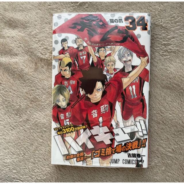 最終値下げ/ハイキュー!!1~34巻、小説版1~4、セイシュンメイカン 最終値下げ/ハイキュー!!1~34巻、小説版1~4、セイシュンメイカン