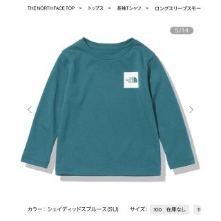 ザノースフェイス(THE NORTH FACE)のTHE NORTH FACE☆ロンT(Tシャツ/カットソー)